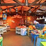 Johnson Orchards