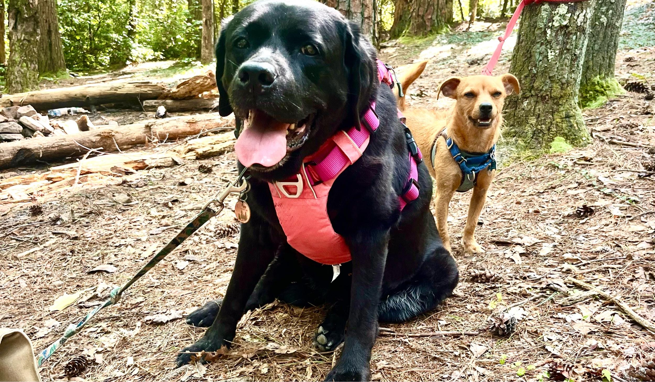 Hero Slideshow Image 3