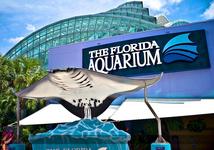 The Florida Aquarium