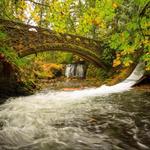 Whatcom Falls Park