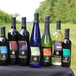 August Hill Winery Tasting Room
