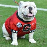University of Georgia