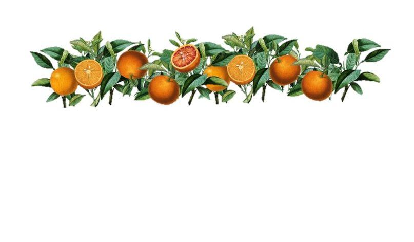 Footer image