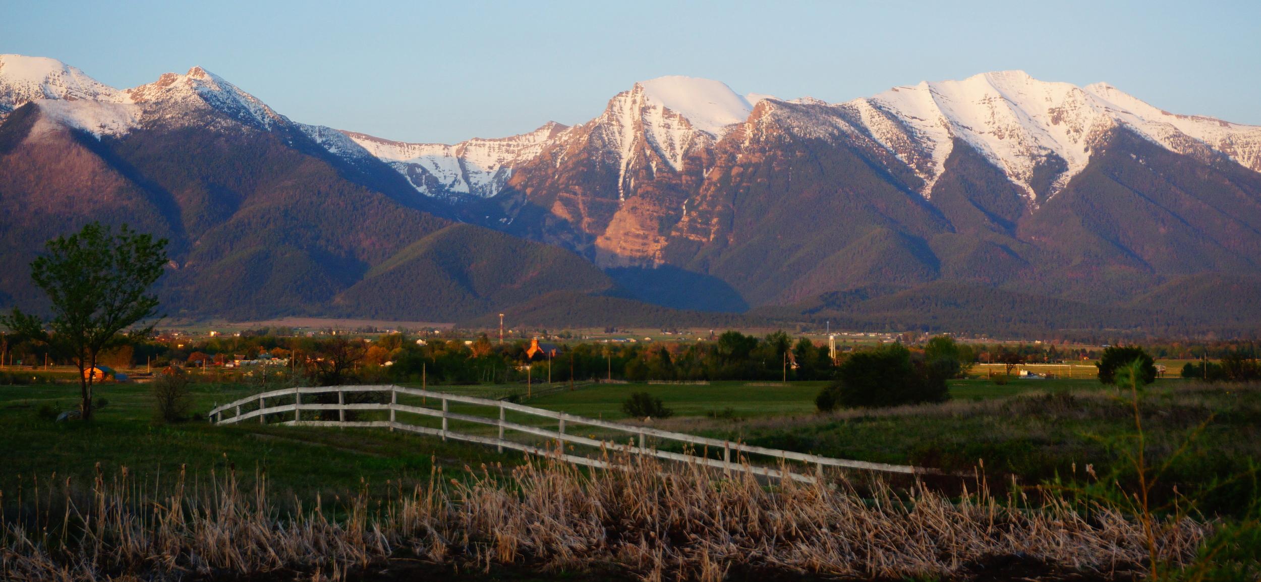 The Wedding Website of Blake Lineweaver and James Corwin