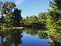 Beckley Creek Park