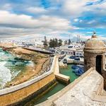 Day Trip to Essaouira