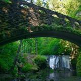 Whatcom Falls Park