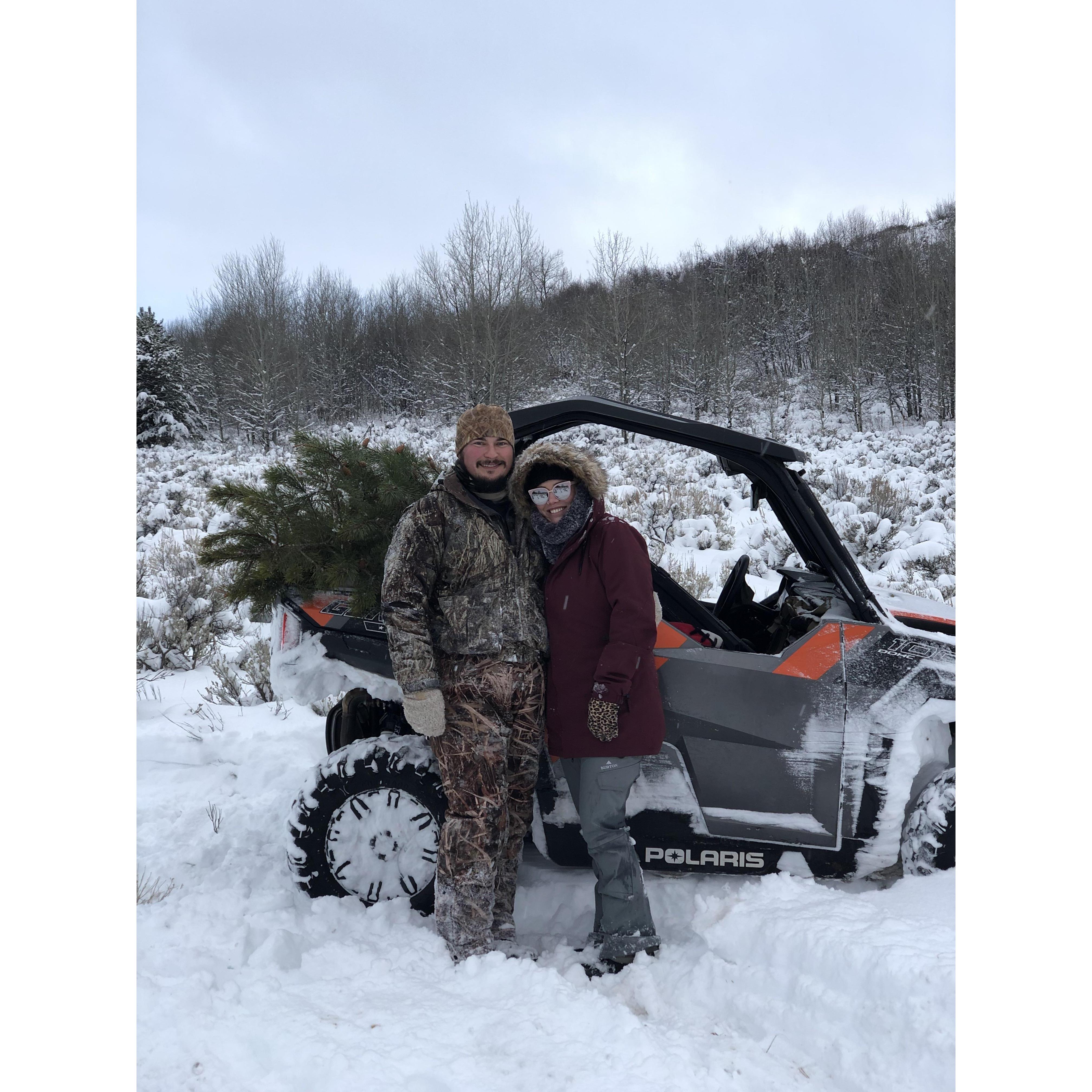We found our cute little charlie brown tree!
