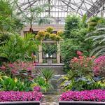Longwood Gardens