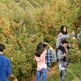 Carter Mountain Orchard and Country Store