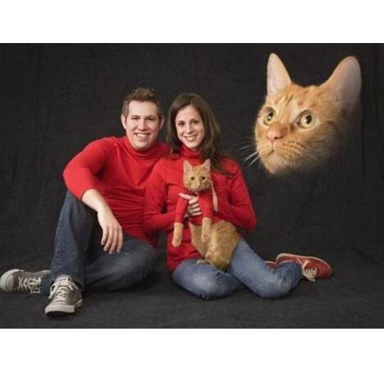They bonded over their love of cats and red turtlenecks