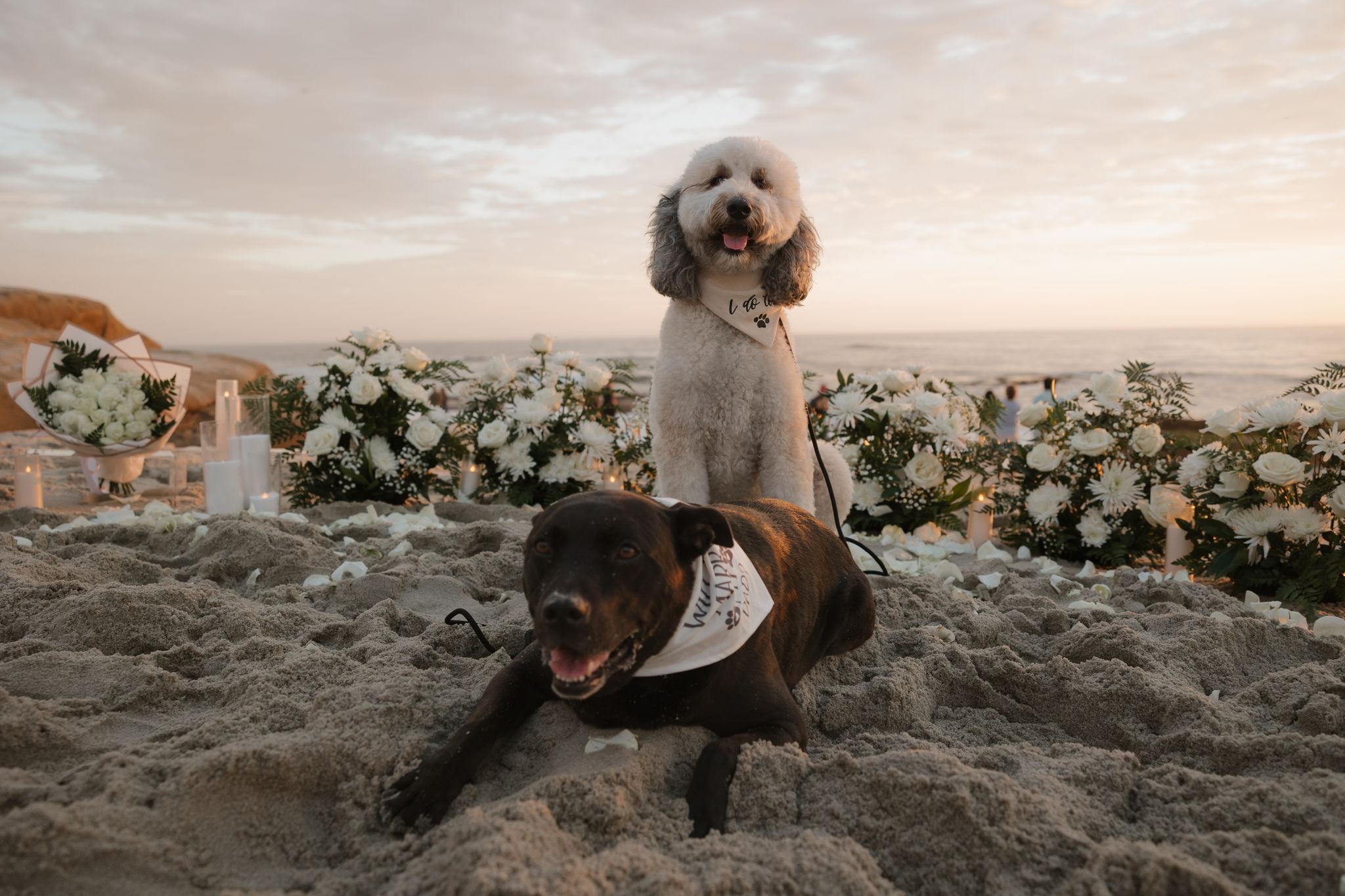 The Wedding Website of Kylie Murphy and Doug Goldman