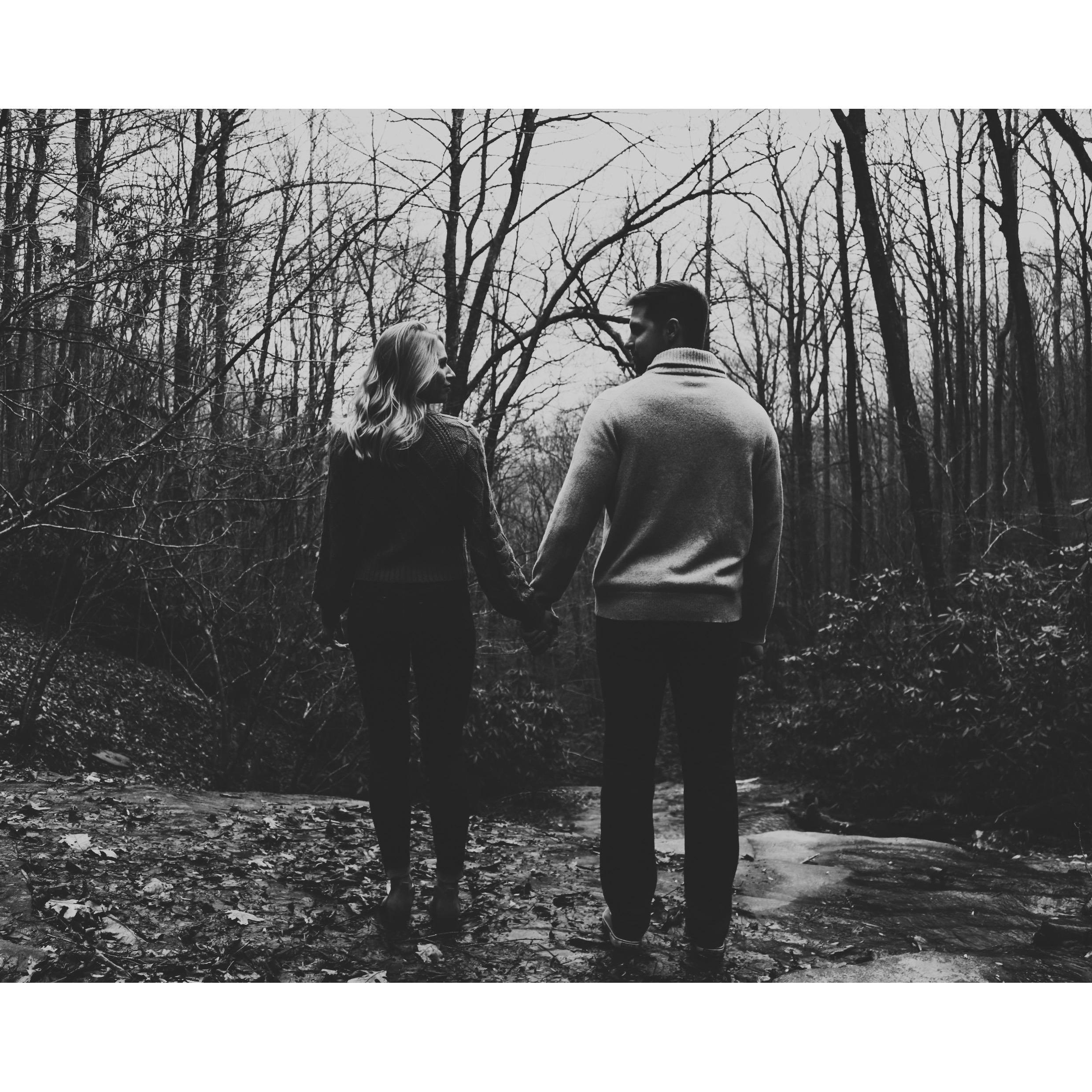 Our engagement photos were taken by Stephanie Jarvis! A LOT of studying went into these wonderful photos and we couldn't have been more thrilled with the result. Thank you, Steph!