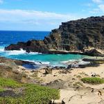 Halona Beach Cove