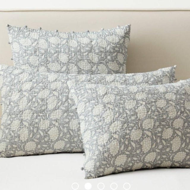Pebblebrook Organic-Cotton Voile Sham | Garnet Hill