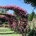 Elizabeth Park Conservancy