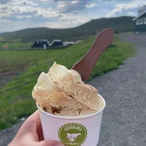 Sweet Treats at Icelandic Creamery