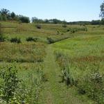Hunt Hill Audubon Sanctuary