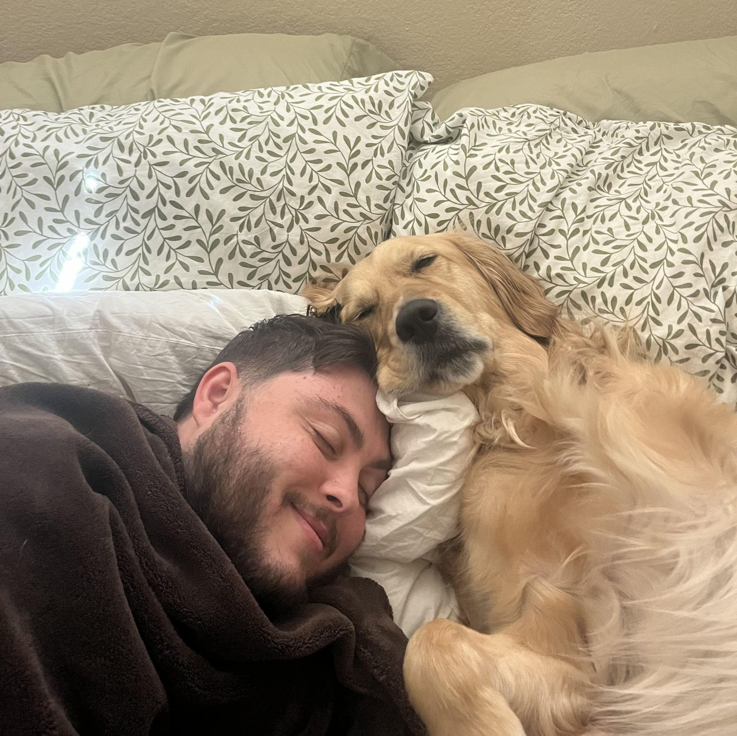 Moose loves to hog Trevor’s love… or maybe just the bed. - Phoenix