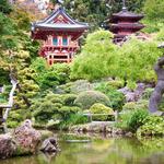 Japanese Tea Garden