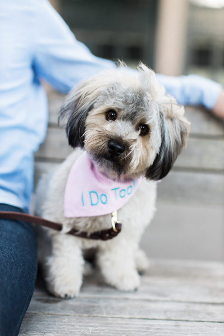 The Wedding Website of Stephanie Luu and Derek Andre