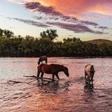 Salt River Tubing