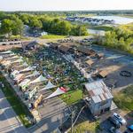 Frankie Martin's Garden