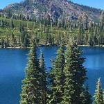 Area Hiking- Bear Lake Loop, Mt. Elwell, Plumas Hike