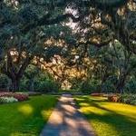 Brookgreen Gardens