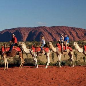 Sunset Camel Tour of Uluru Rock