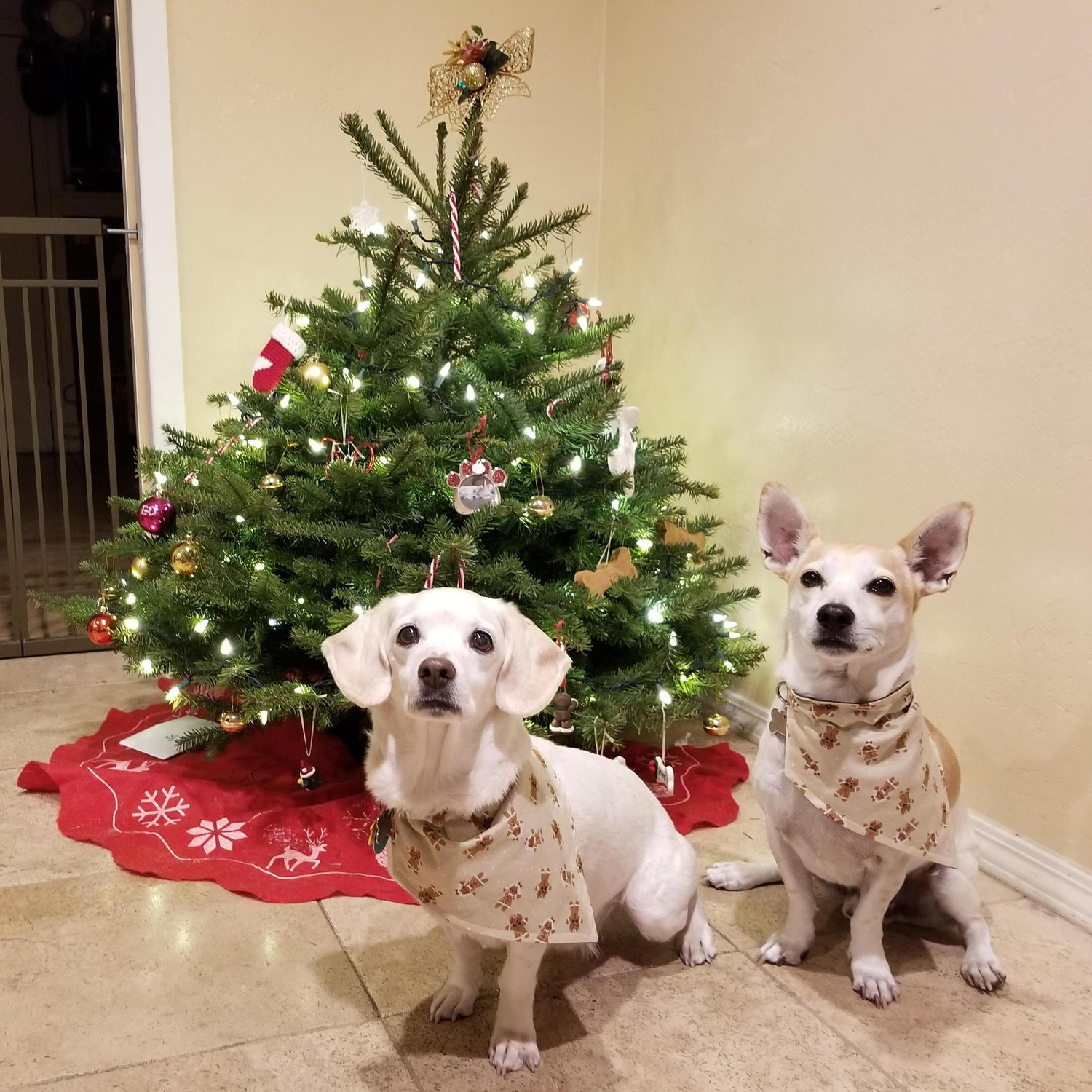 Christmas time is here....