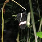 Museum of Life and Science