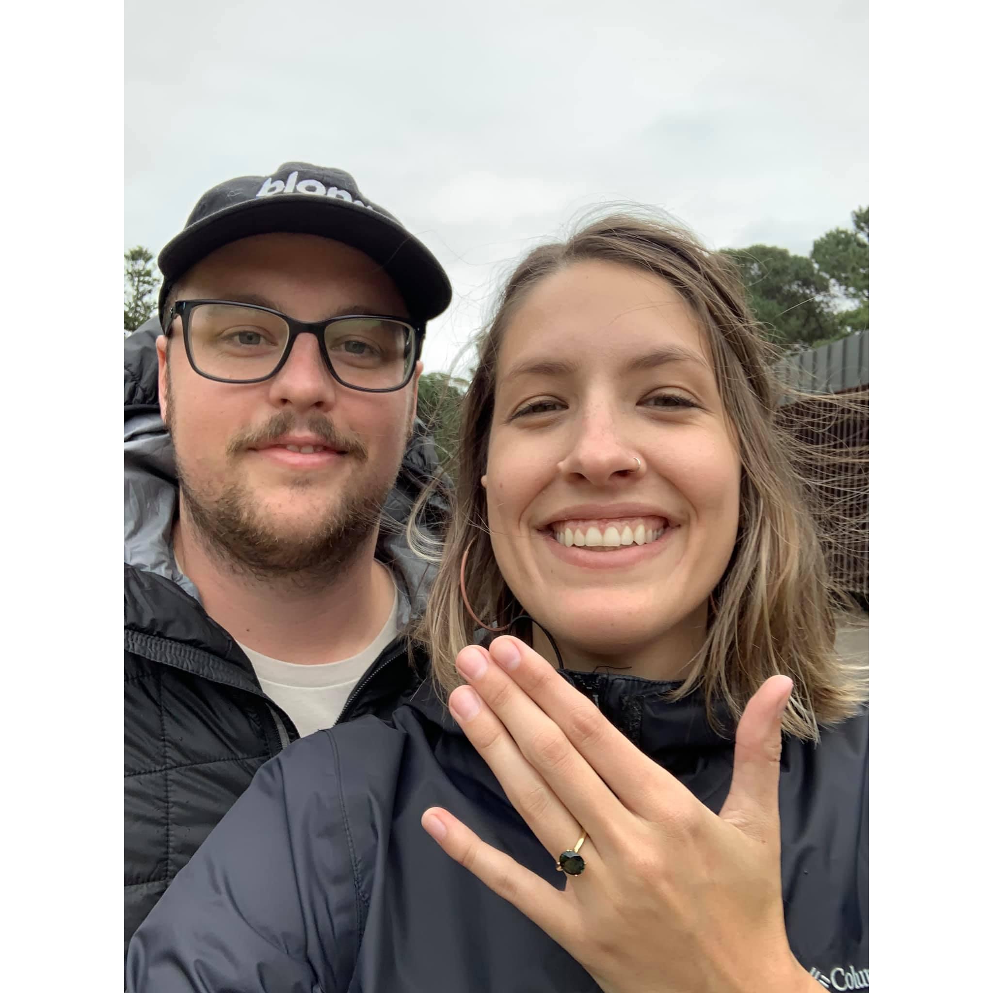 engaged