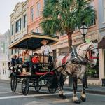 Historic Charleston Carriage Tour