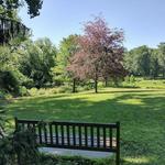 Haverford College Nature trail