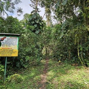 Yellow House Hiking Trails Access