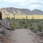 San Tan Mountain Regional Park
