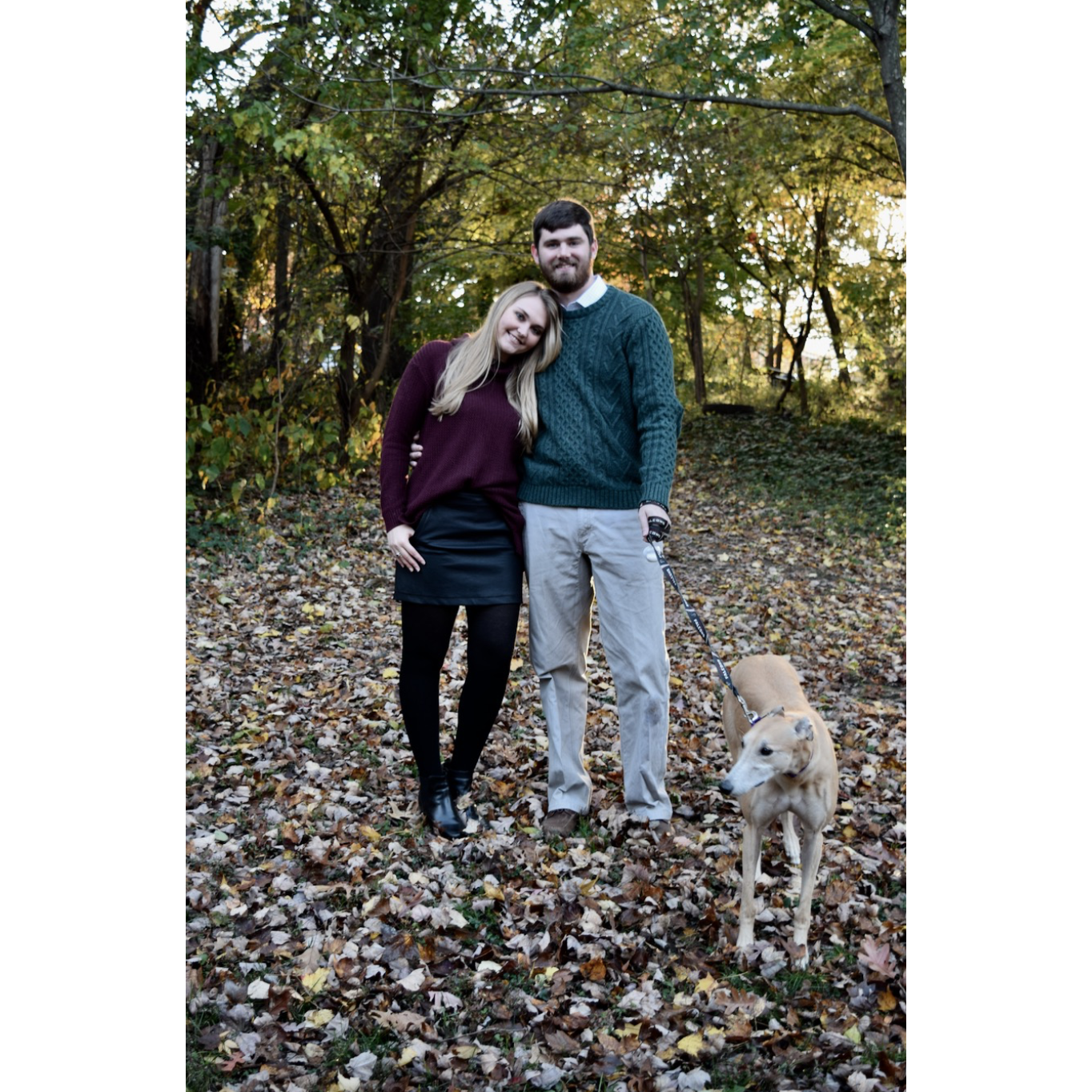 Nov. 2018