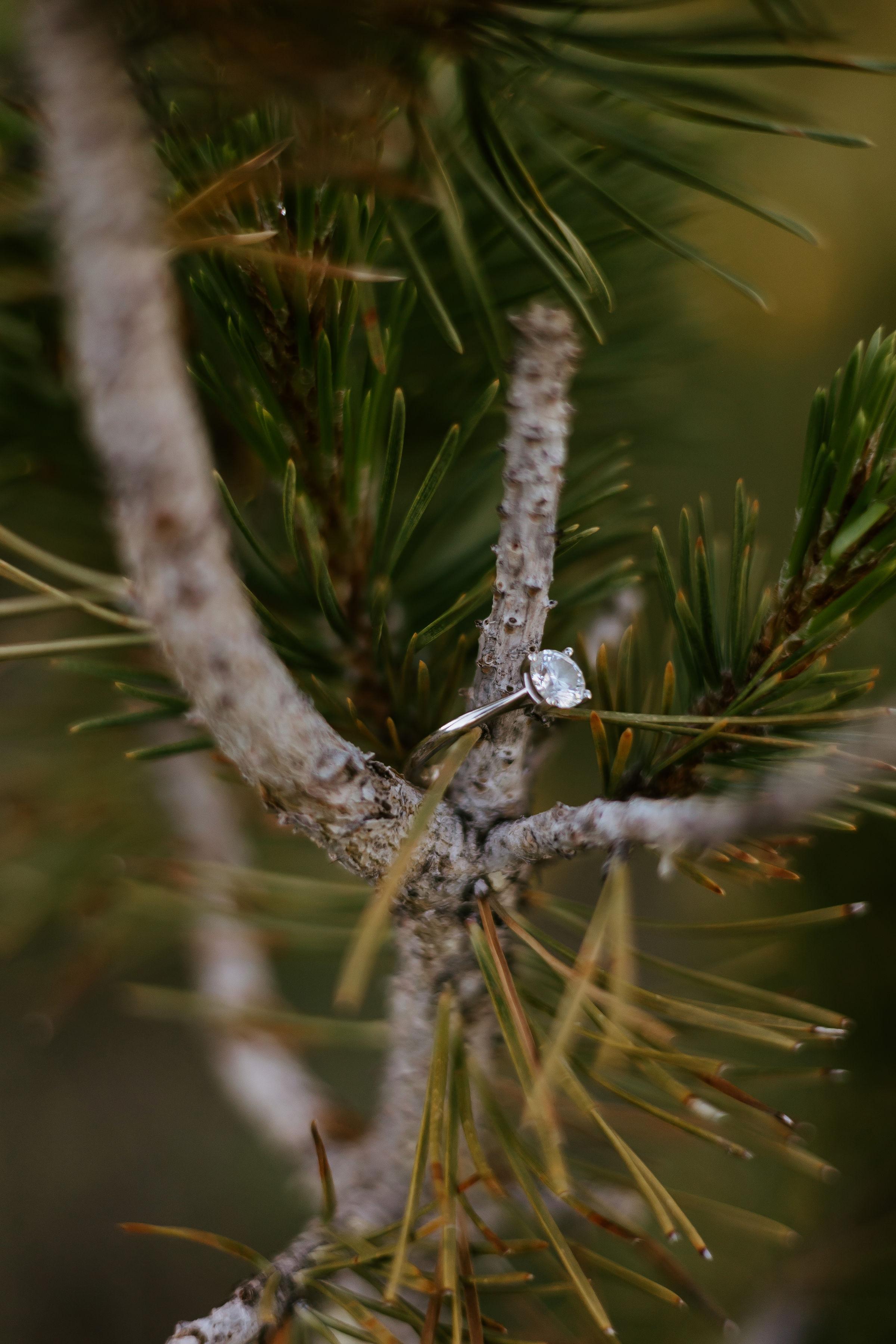 The Wedding Website of Nicole Liskey and Travis Haye