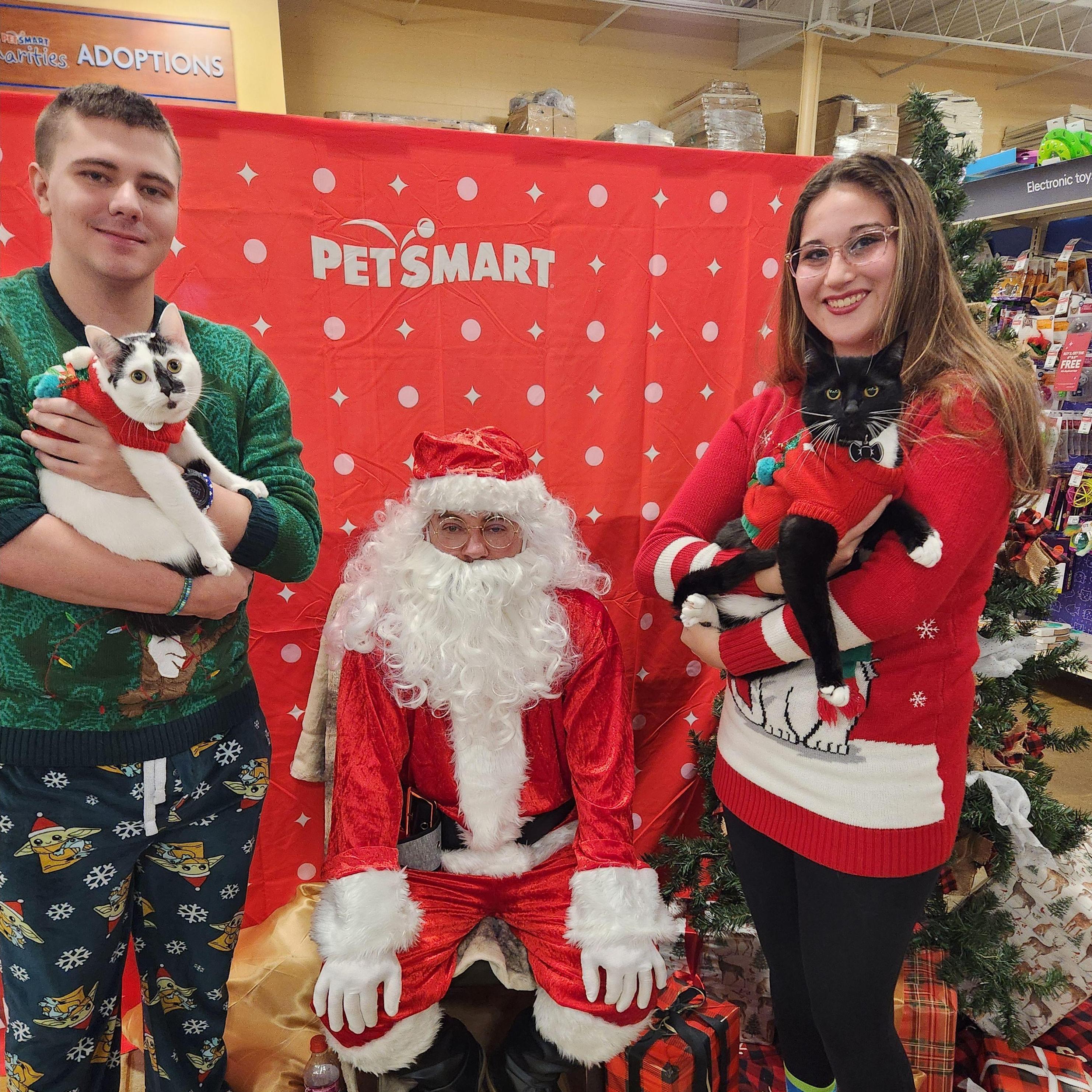 12-17-23 Gizmo and Spade's annual picture with Santa