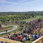 Stuckey Farm Orchard & Cider Mill