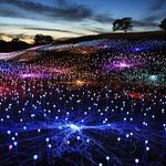 Field of Light