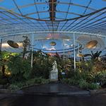 Glasgow Botanic Gardens