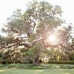 Airlie Gardens
