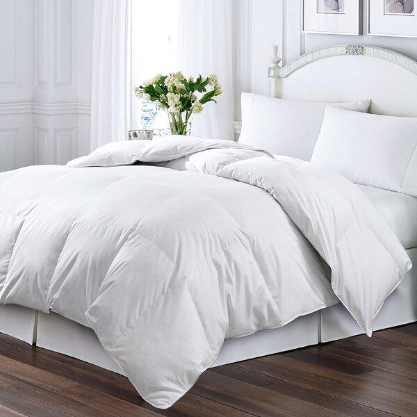 All Season Down Comforter