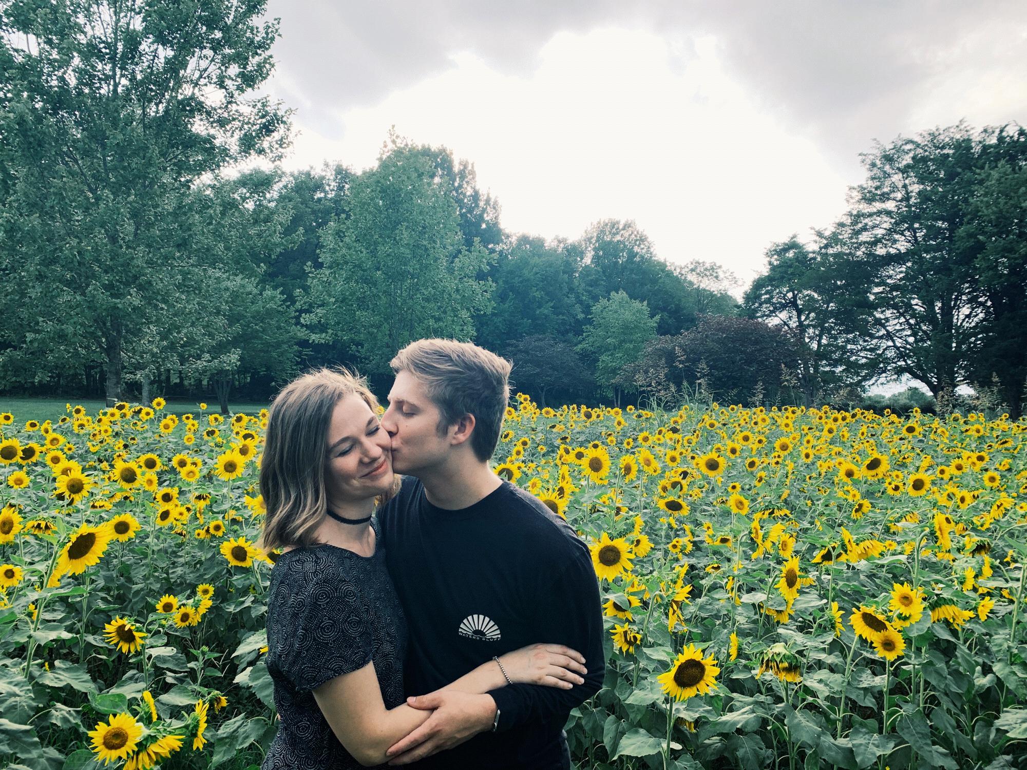 kisses in the sunflower field