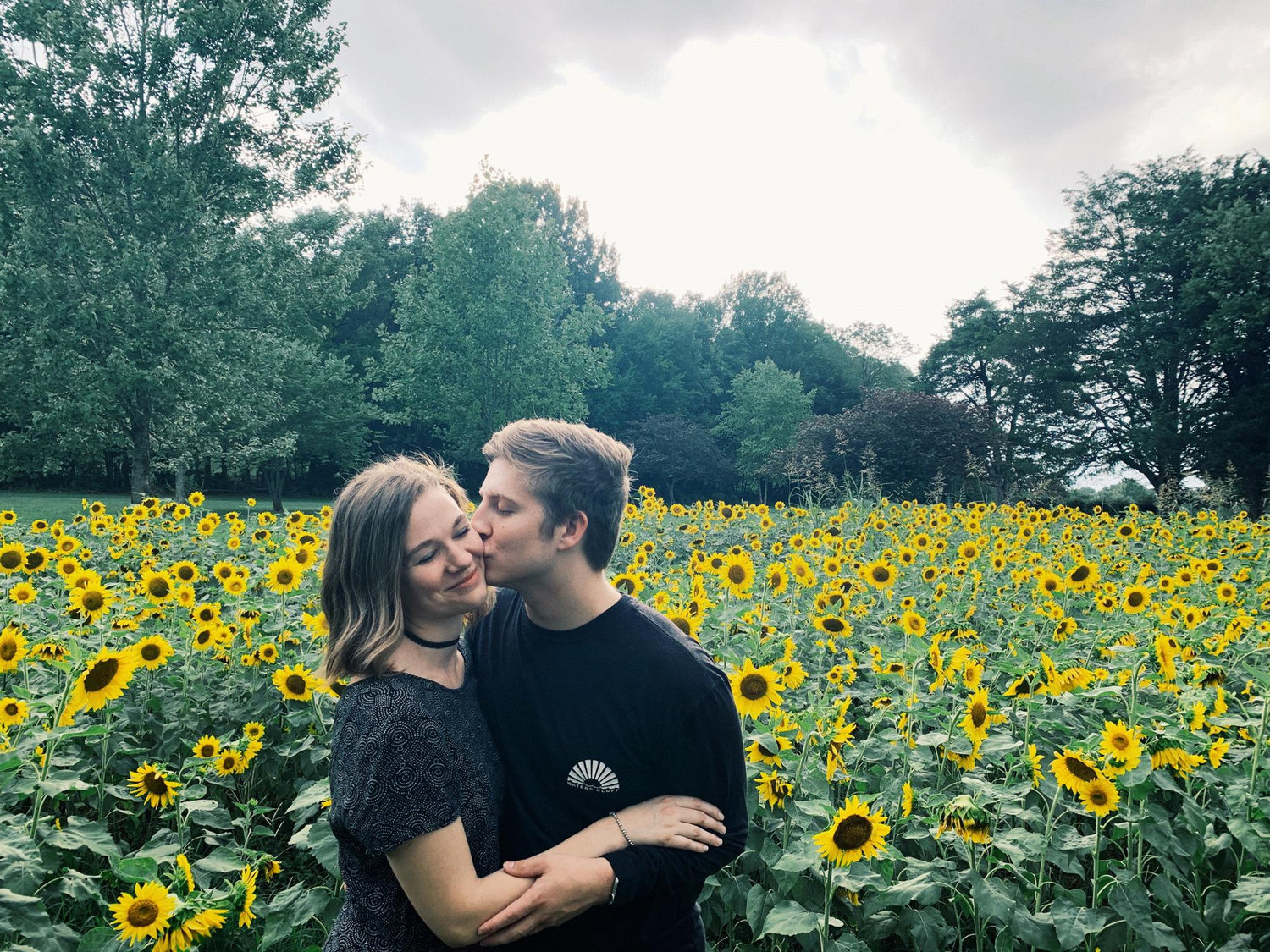 kisses in the sunflower field