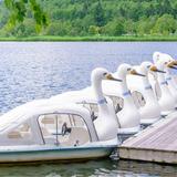 Asbury Park Pedal Boats