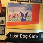 Lost Dog Cafe