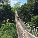 Santa Ana National Wildlife Refuge